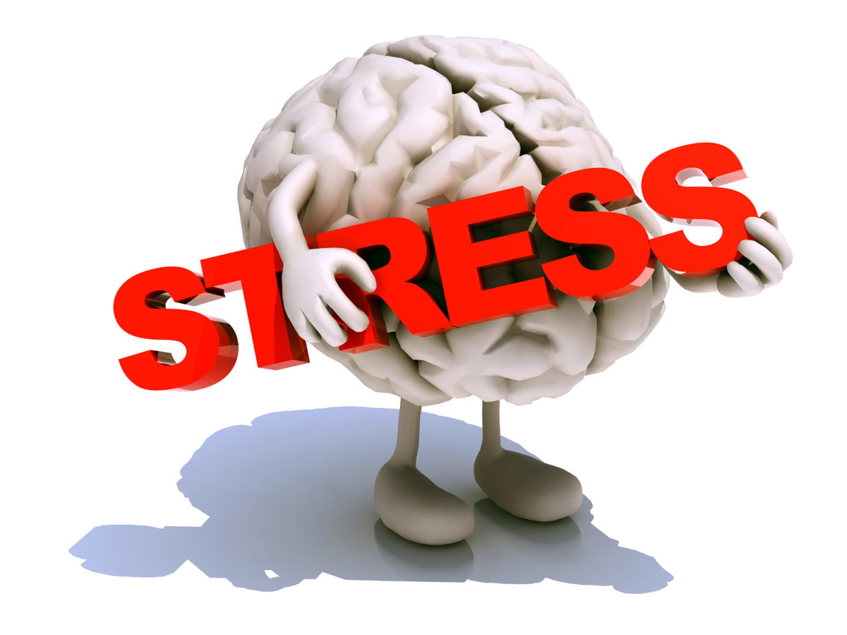 (CANOS10hr) The Neurophysiology of Stress-Neurology – CCE Hours